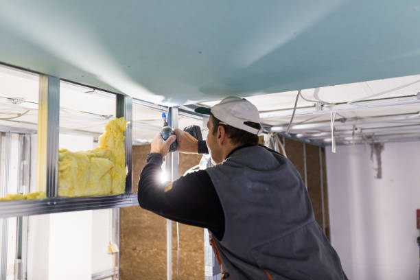 Best Insulation for Specific Applications in Bartonsville, MD