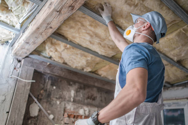 Best Insulation Materials and Products in Bartonsville, MD